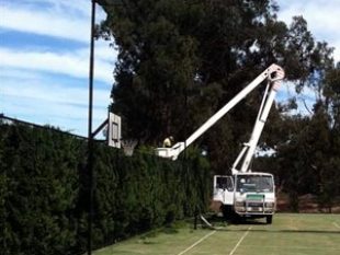 Drouin Tree Services staff using cherry picker to trim hedge